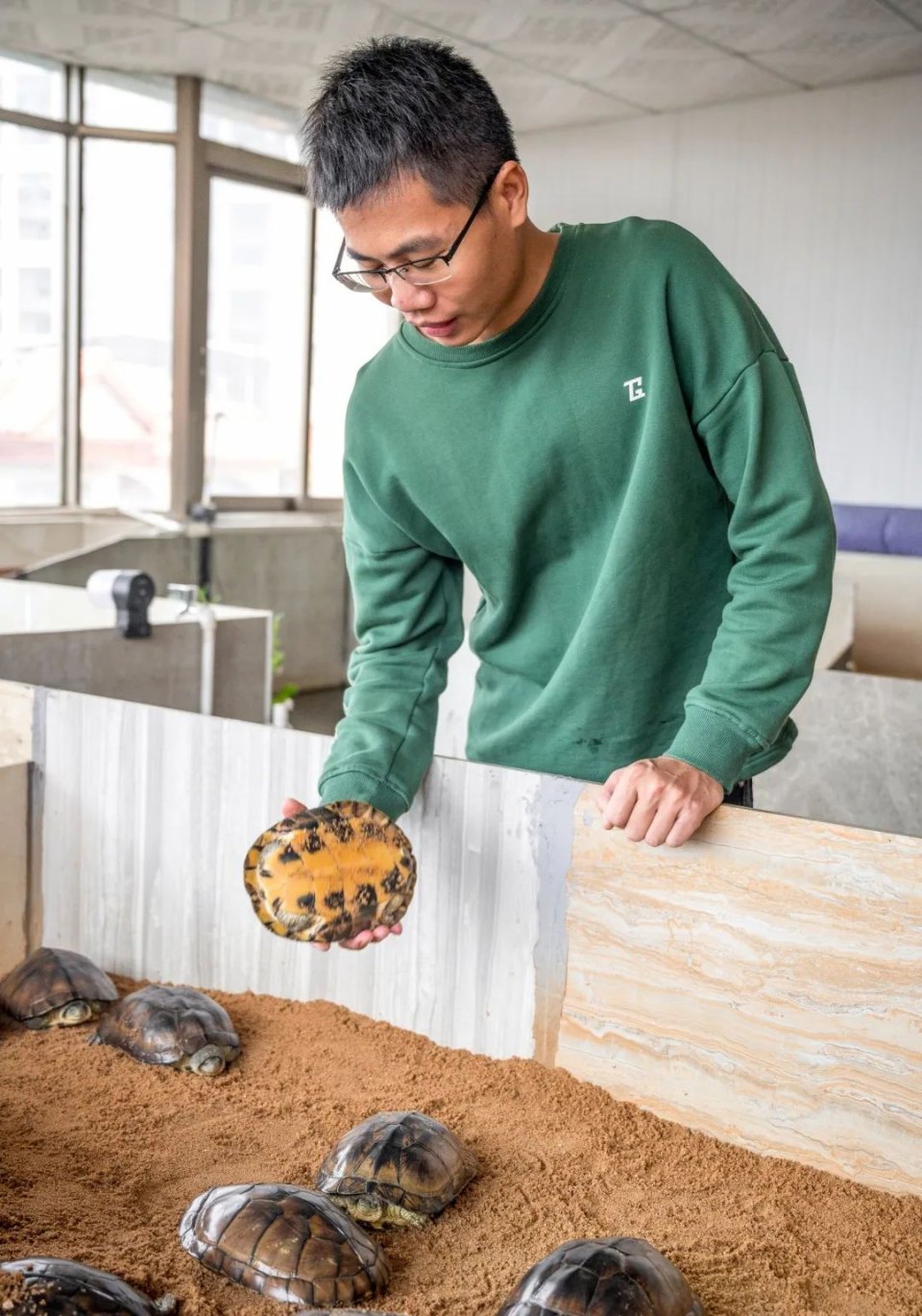 纯手工制作美食甜品,网红甜品推荐前十名制作方法
