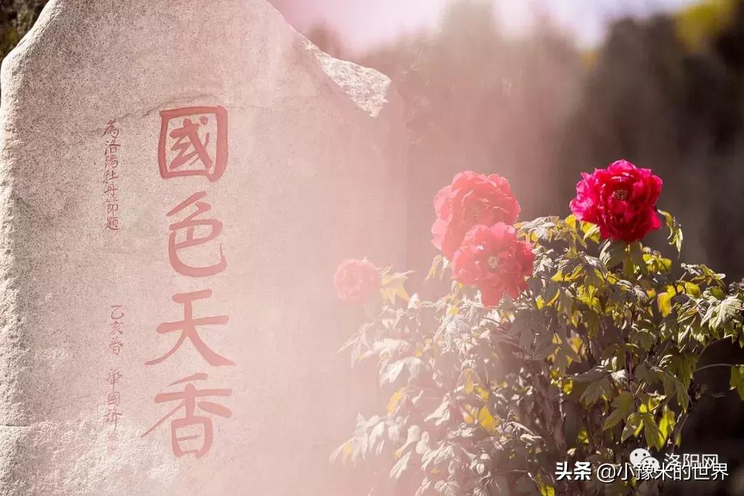 向洛阳人发出邀请国潮盛宴来袭,洛阳发布通知