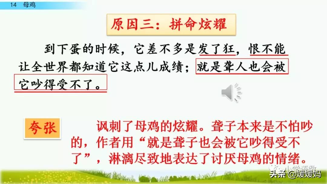四年级下册第13课小练笔仿写母鸡,四年级下册14课母鸡的预习完整版