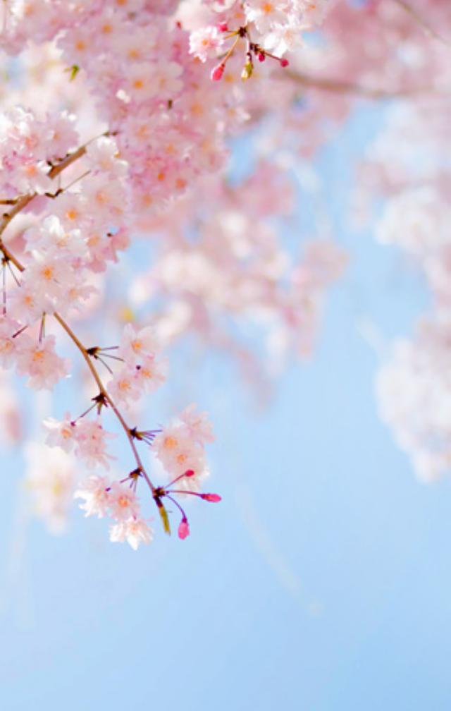 所有女生!各大品牌的春季眼影盘来咯