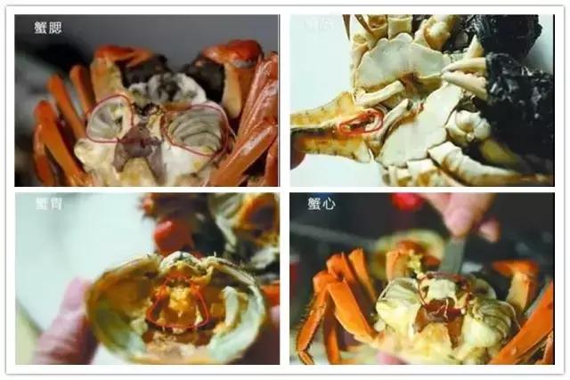 汕尾吃海鲜的正确方式,汕尾人吃海鲜