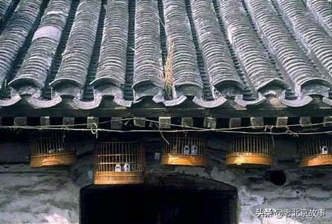 老北京卢沟桥的狮子歇后语,老北京的歇后语是什么