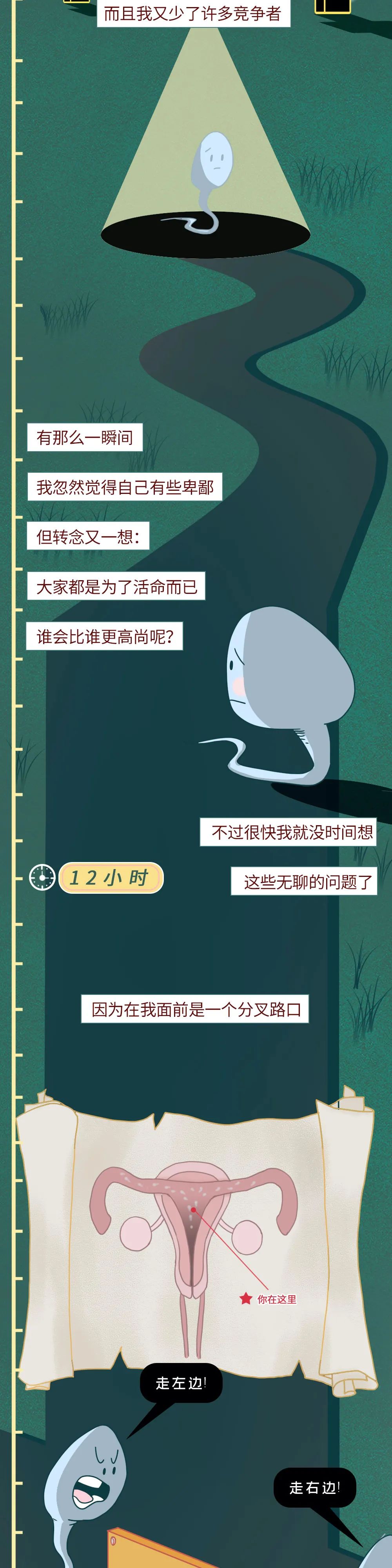 科普知识精子液化后的状态,男性精子在体内存活时间