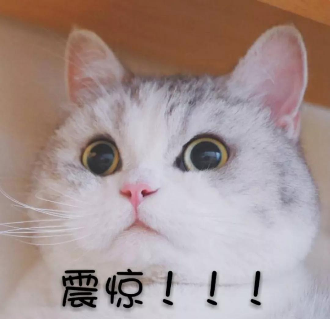 一场秋雨一场凉,滋补养生话膏方