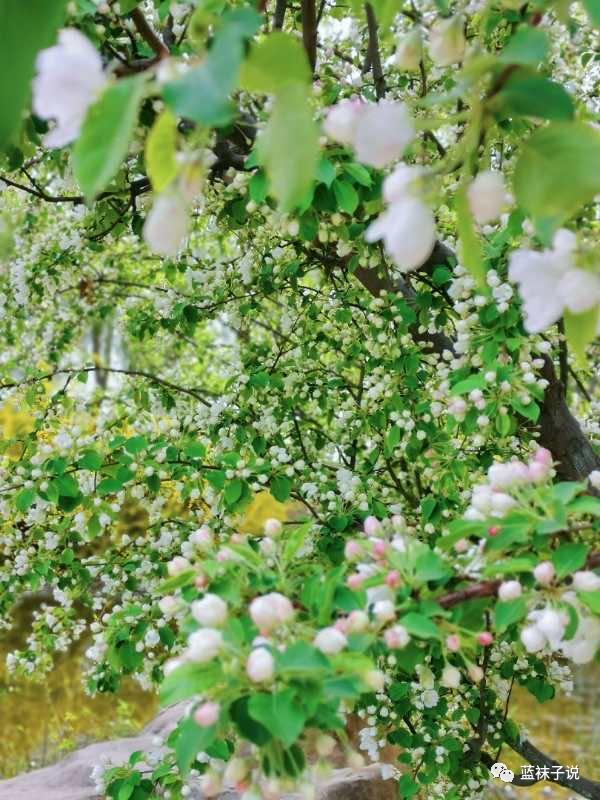 最近想得比较多胡思乱想,最近想事情想得多了