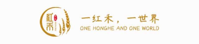 如何用营销思维做好文案策划,有哪些产品可以做创意文案策划