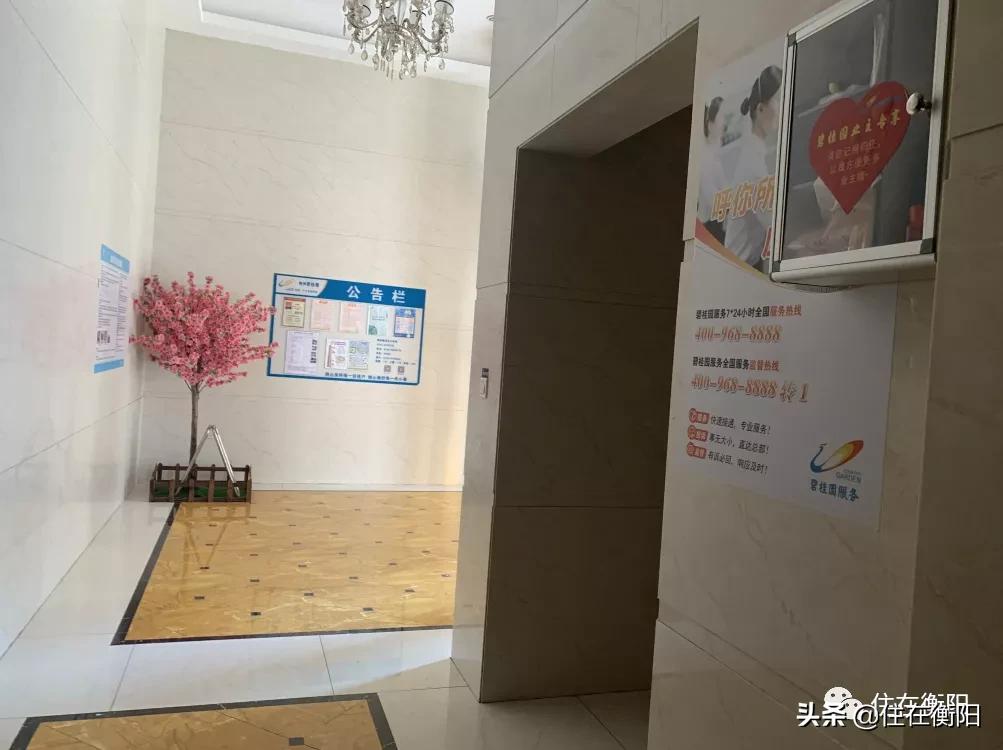 鉴盘②丨碧桂园入衡首盘,五星级的家兑现了吗?