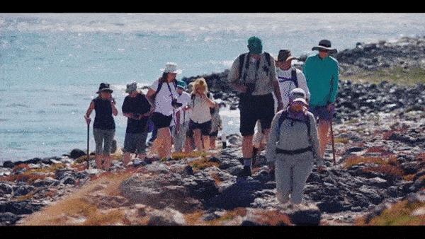 邮*公轮**司怎么挑？10分钟扫盲贴带你快速鉴赏各大品牌！