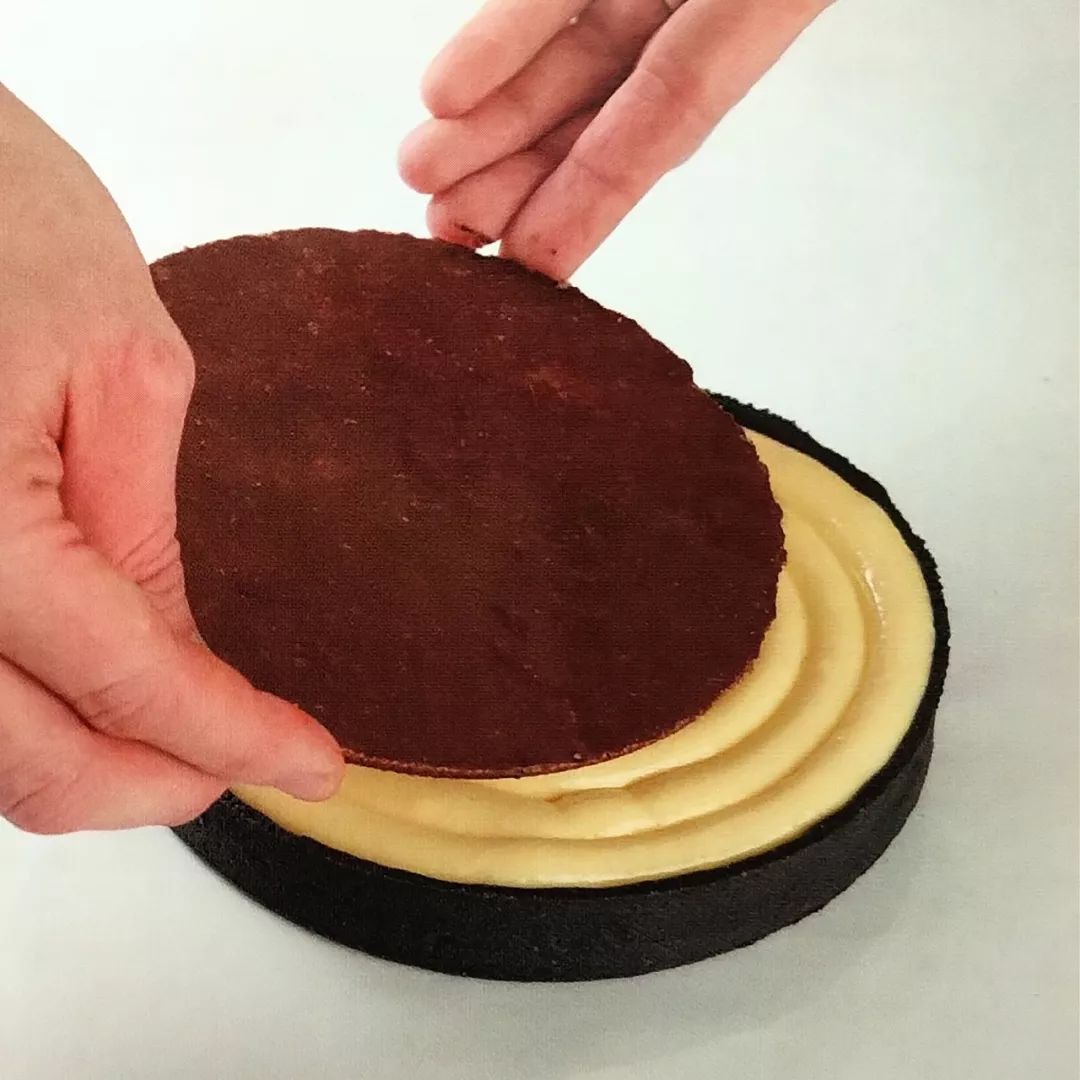 蜂蜜挞——一只小蜜轰,灰到发丛中