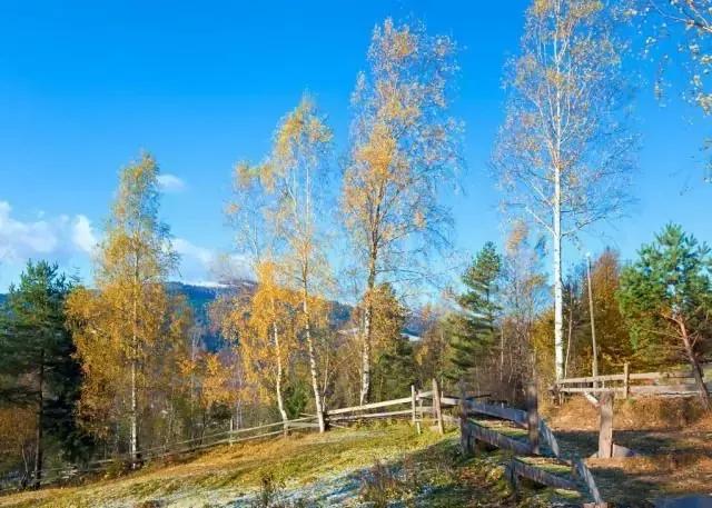 晓晴寒未起，霜叶满阶红。霜降时节，读古诗词，邂逅时光里的暖