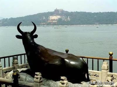 老北京土语奇怪词,北京记忆真正老北京话