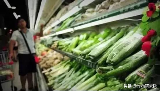 有机农场能赚钱吗,有机农场失败案例