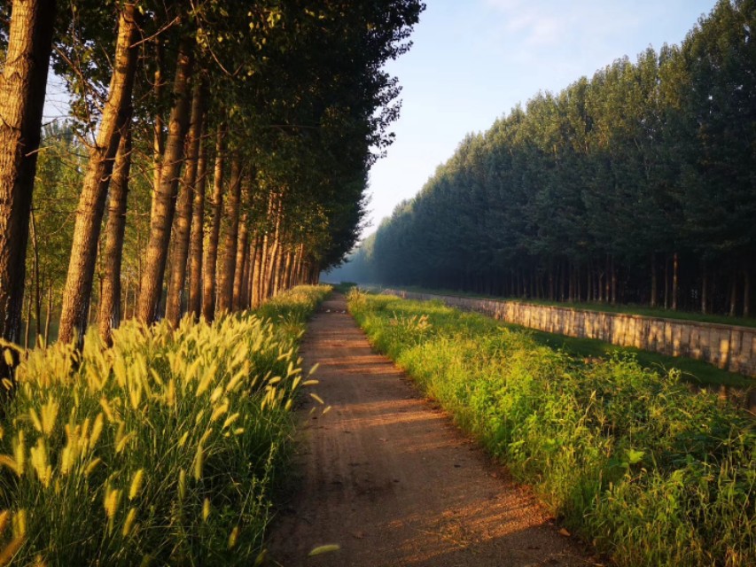 大学生创新创业对课程的期待,大学生创新创业教育答案