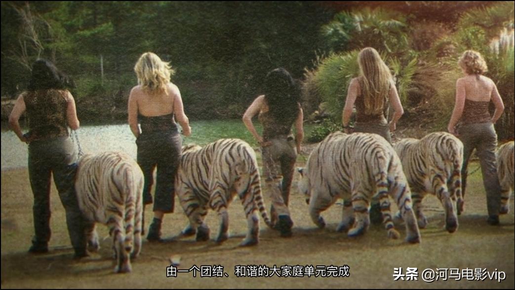 这部魔幻纪录片，在美国竟然比疫情还火！