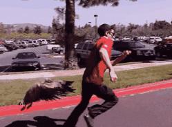 网易考拉与雅诗兰黛哪个好,考拉自营雅诗兰黛是正品吗