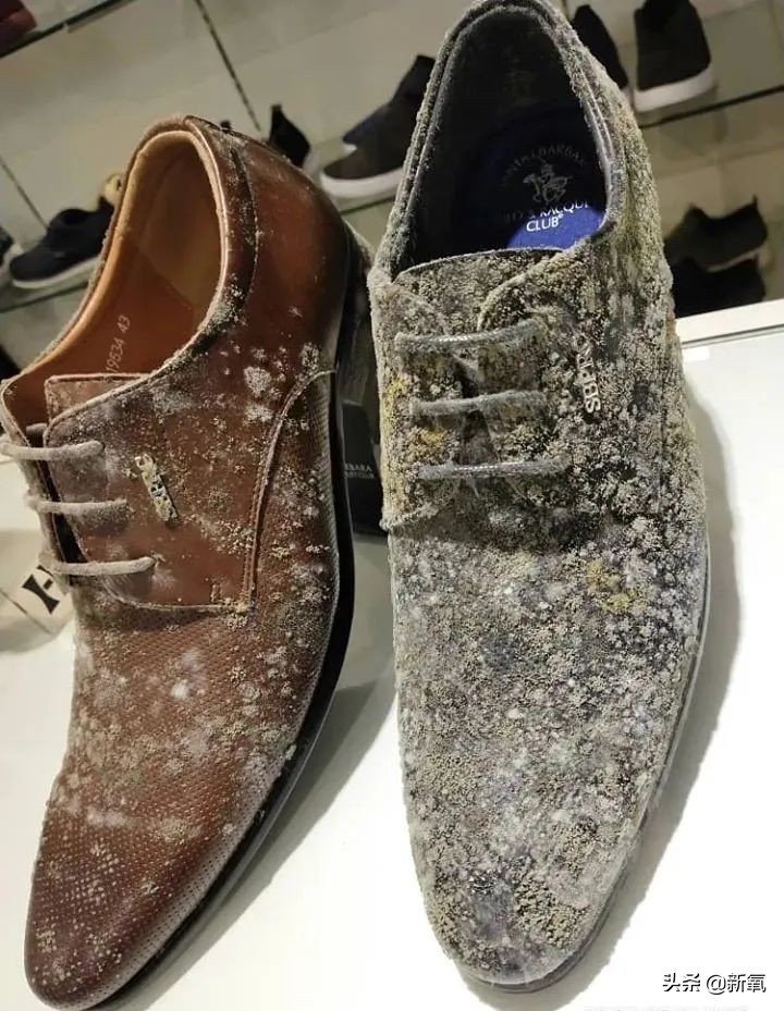 泰国坑中国游客,泰国坑中国游客后续