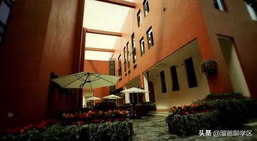 泡桐树小学天府校区,名校巡礼西城实验