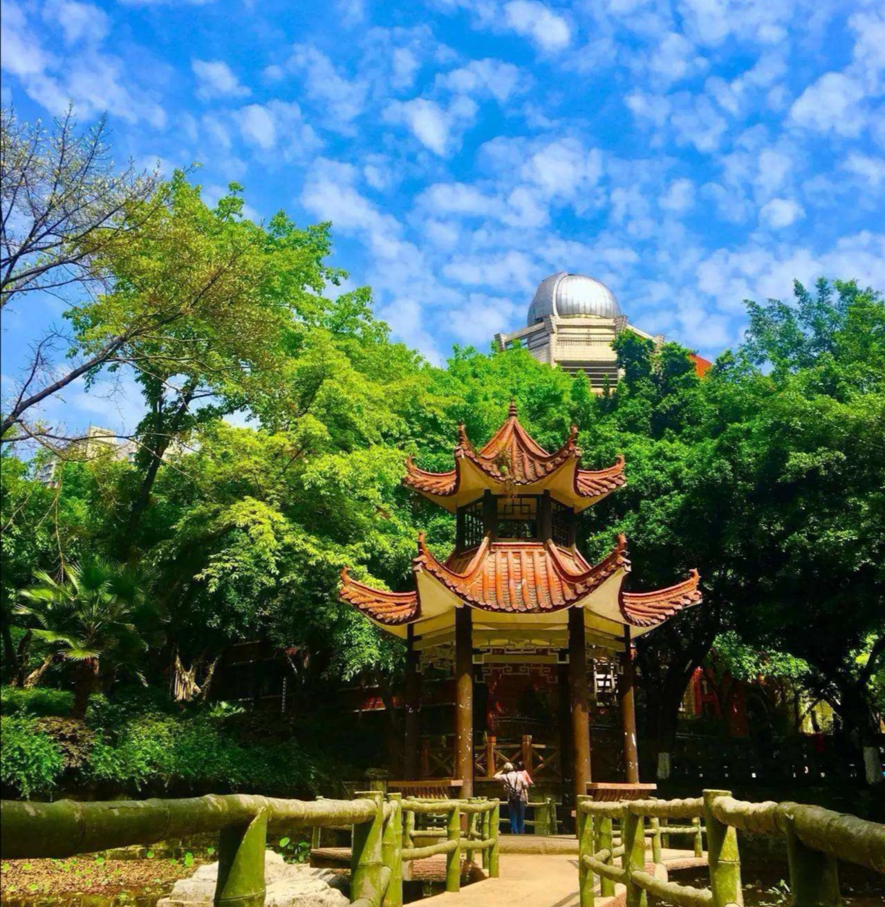 重庆82中学在哪里,重庆育仁中学怎么样