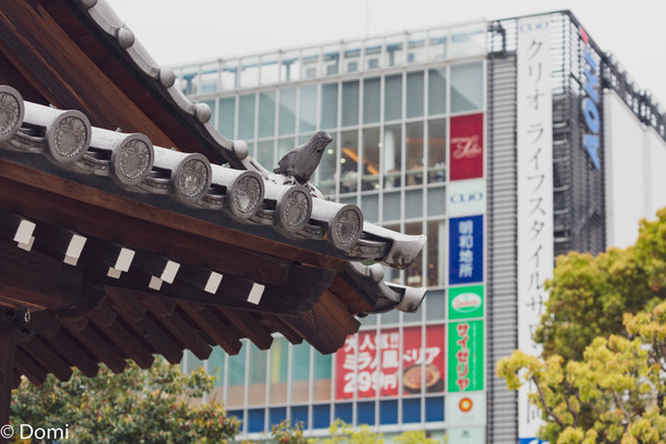 享受旅行的一天,享受旅行品味生活