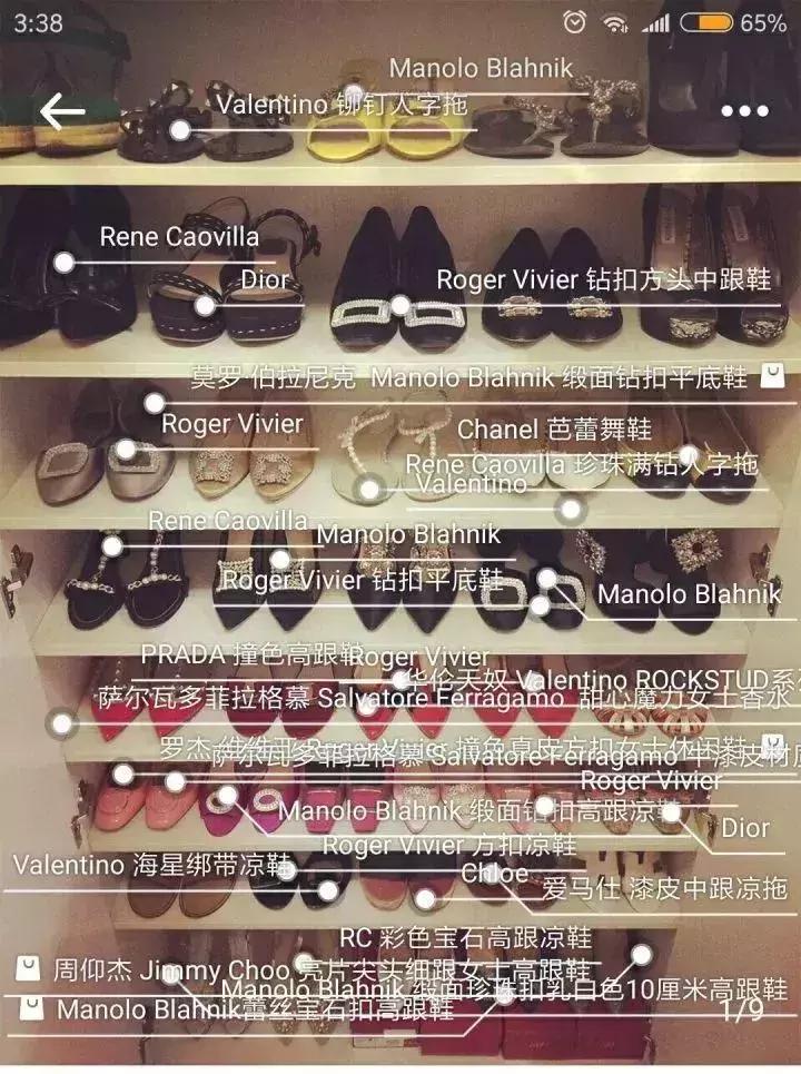 老佛爷的遗产真的由猫继承,老佛爷的所有家产最后留给了猫