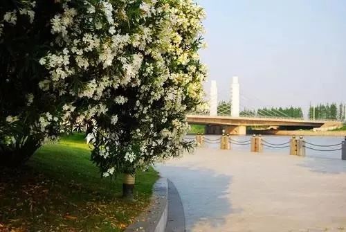 这20个太仓之最，老太仓人都不一定知道