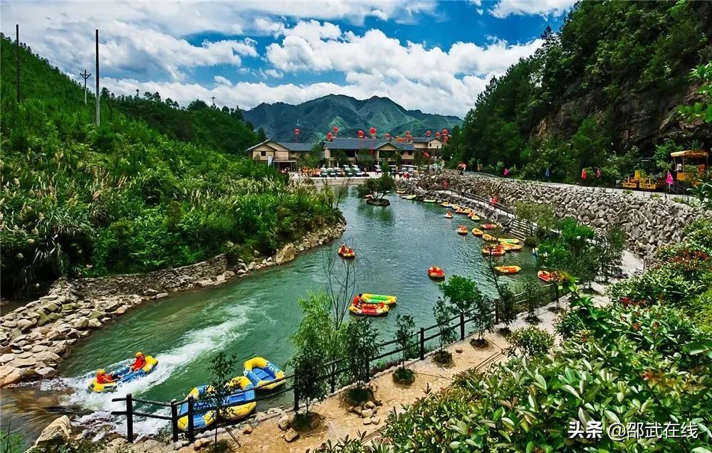 征文绿色无毒健康人生,征文绿色生活