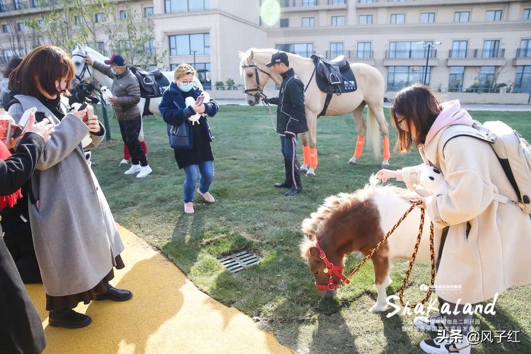 上海周边最好的度假村,为什么说上海没有海