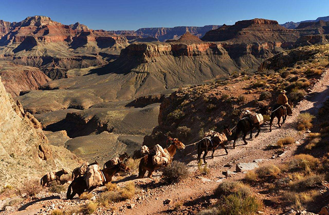 茶马古道对民族发展带来了什么,茶马古道对现代中国的意义