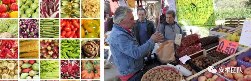 茶人学习:欧洲国家农民合作社融资实践