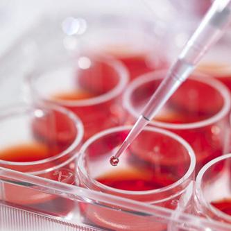 色彩缤纷的功能原料（上）