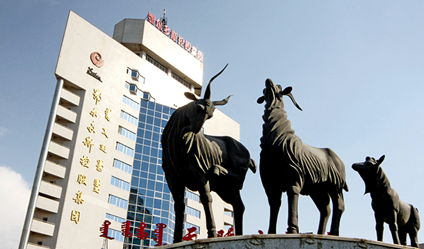 国内羊绒纺织霸主：鄂尔多斯品牌价值超1000亿，拿下全球30％份额