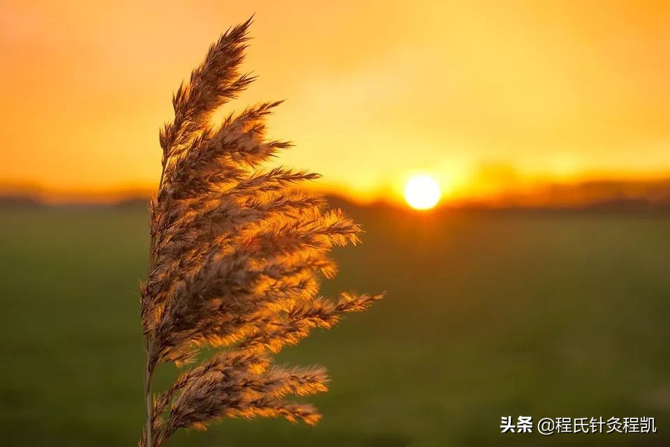 腹部受凉肚子痛该怎么办,腹部受凉拉肚子怎么缓解