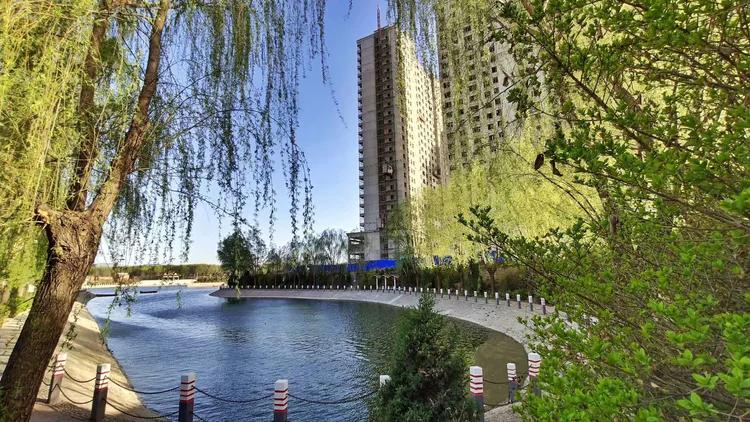 咏柳智永千字文,咏柳书法千字文