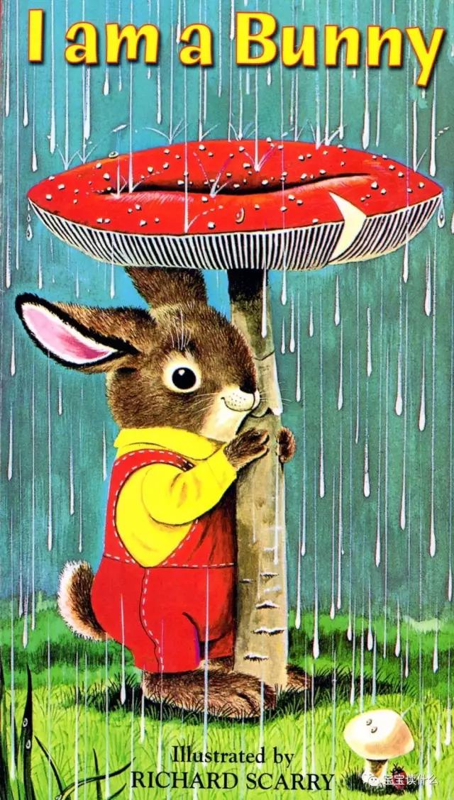 iamabunny作者,iamabunny歌曲