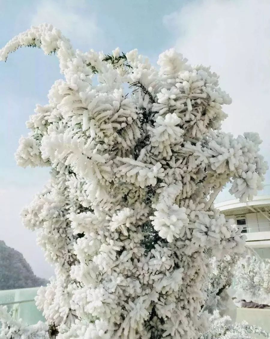 赏雪何须去北国,赏梦幻雾凇耍雪的绝佳去处