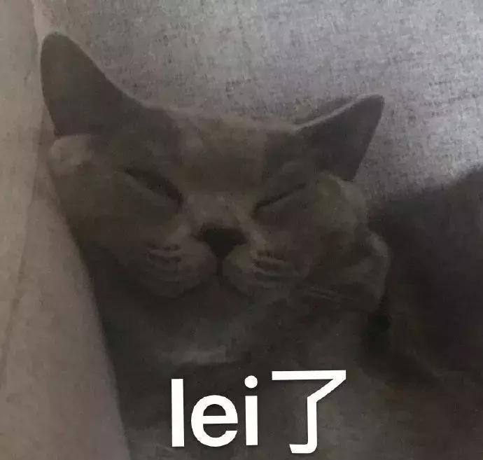 太平鸟纽约时装周,2019纽约时装周太平鸟