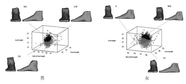 罗马脚埃及脚希腊脚的区别,希腊脚埃及脚罗马脚各的优缺点