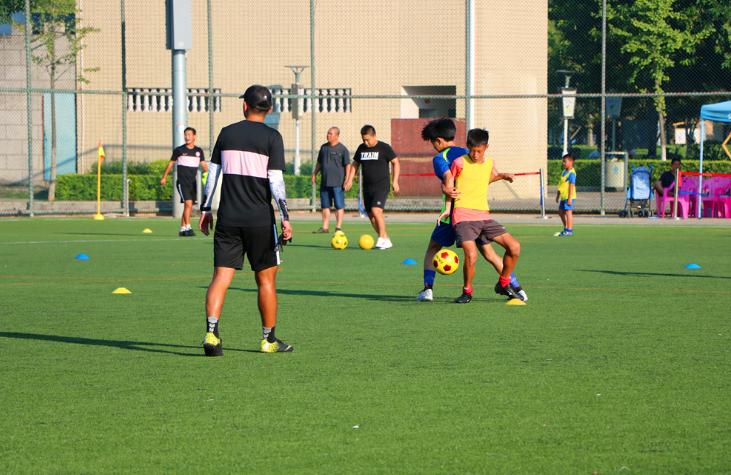 育新足球俱乐部2024暑假班,亲子足球嘉年华圆满落下帷幕