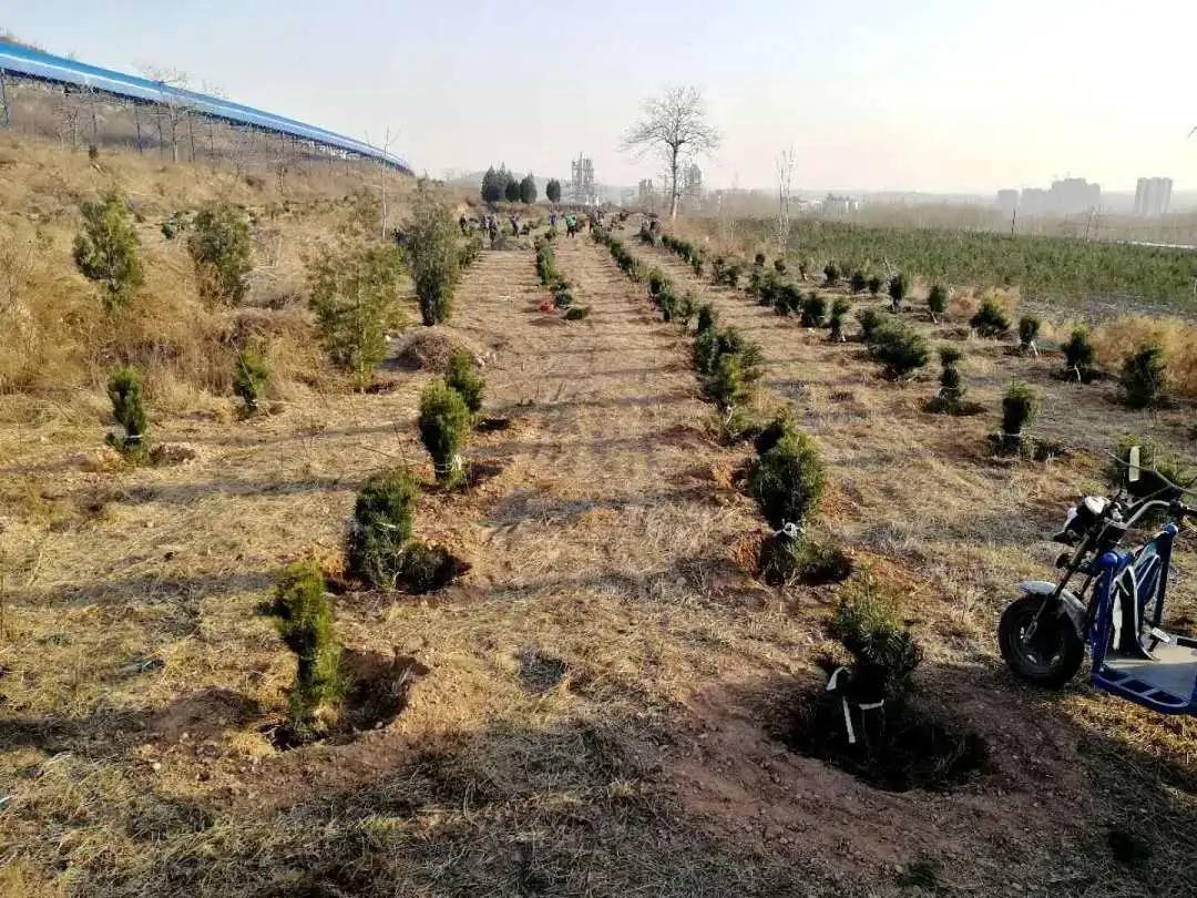 峰峰矿区哪个乡镇最好,峰峰美丽乡村都有哪些