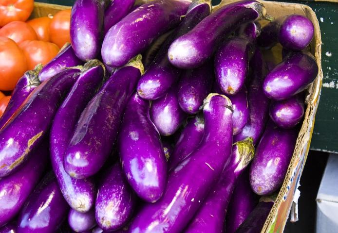 茄子是线茄还是圆茄 (茄子圆茄长茄区别)