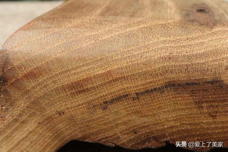 金丝楠木容易开裂刷什么胶,金丝楠木开裂怎么办