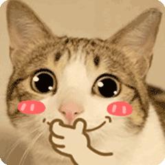 lv经典款小包推荐,lv包的小锁