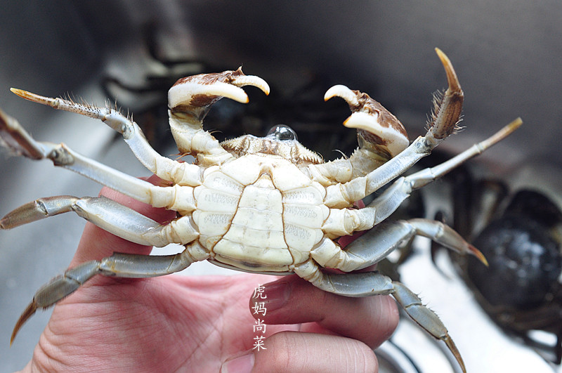 大闸蟹一般蒸多少分钟为最佳,大闸蟹一般蒸多久最好