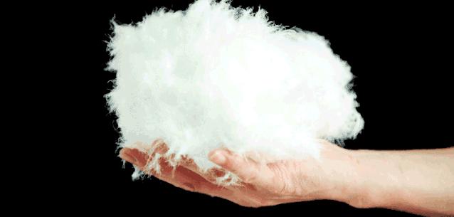 羽绒服价格差别太大怎么选,冬季羽绒服价位稍高一点