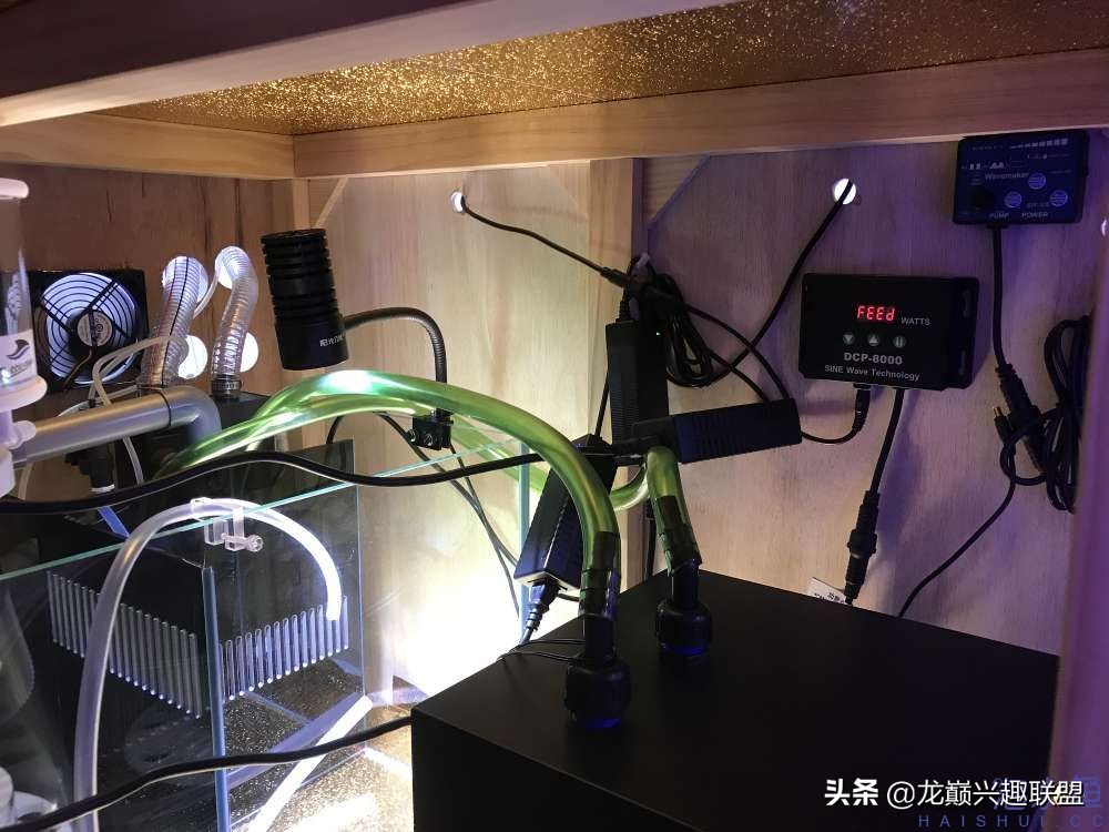 从零开始玩海缸的方法,从零开始玩海缸全过程