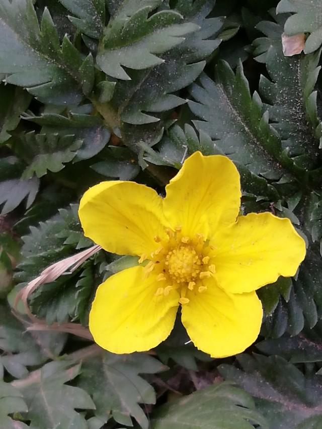 努力学习的动力来自哪里,努力学习的动力其实只有你