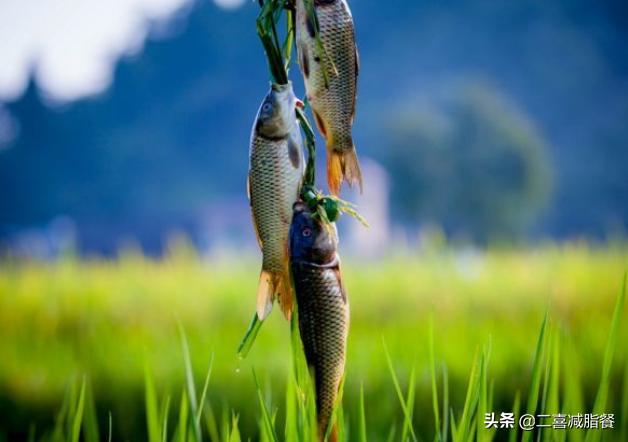 100天不重样减脂晚餐汤,不加一滴油营养又解馋