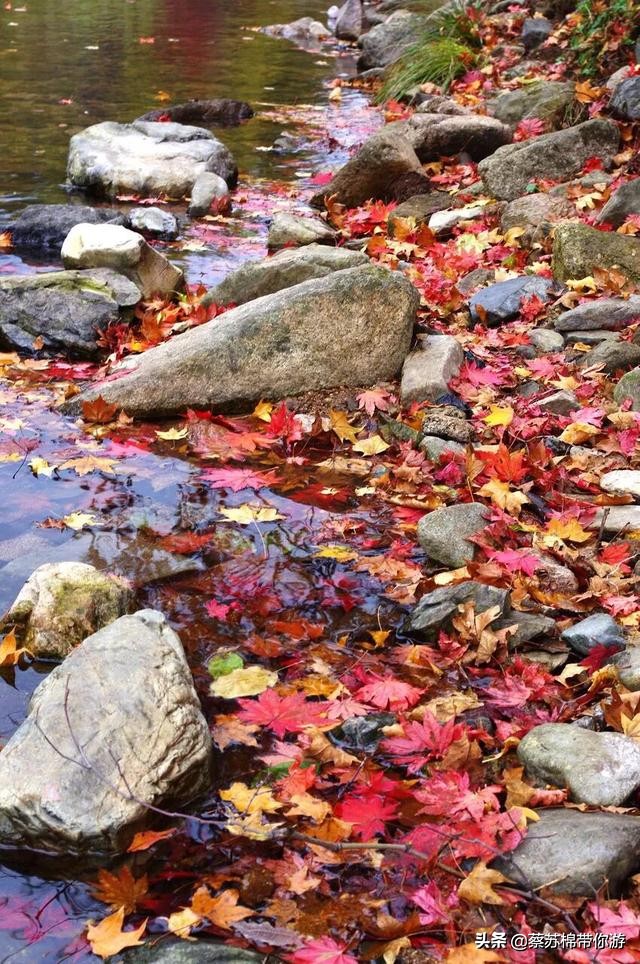 本溪赏枫攻略,本溪赏枫景区