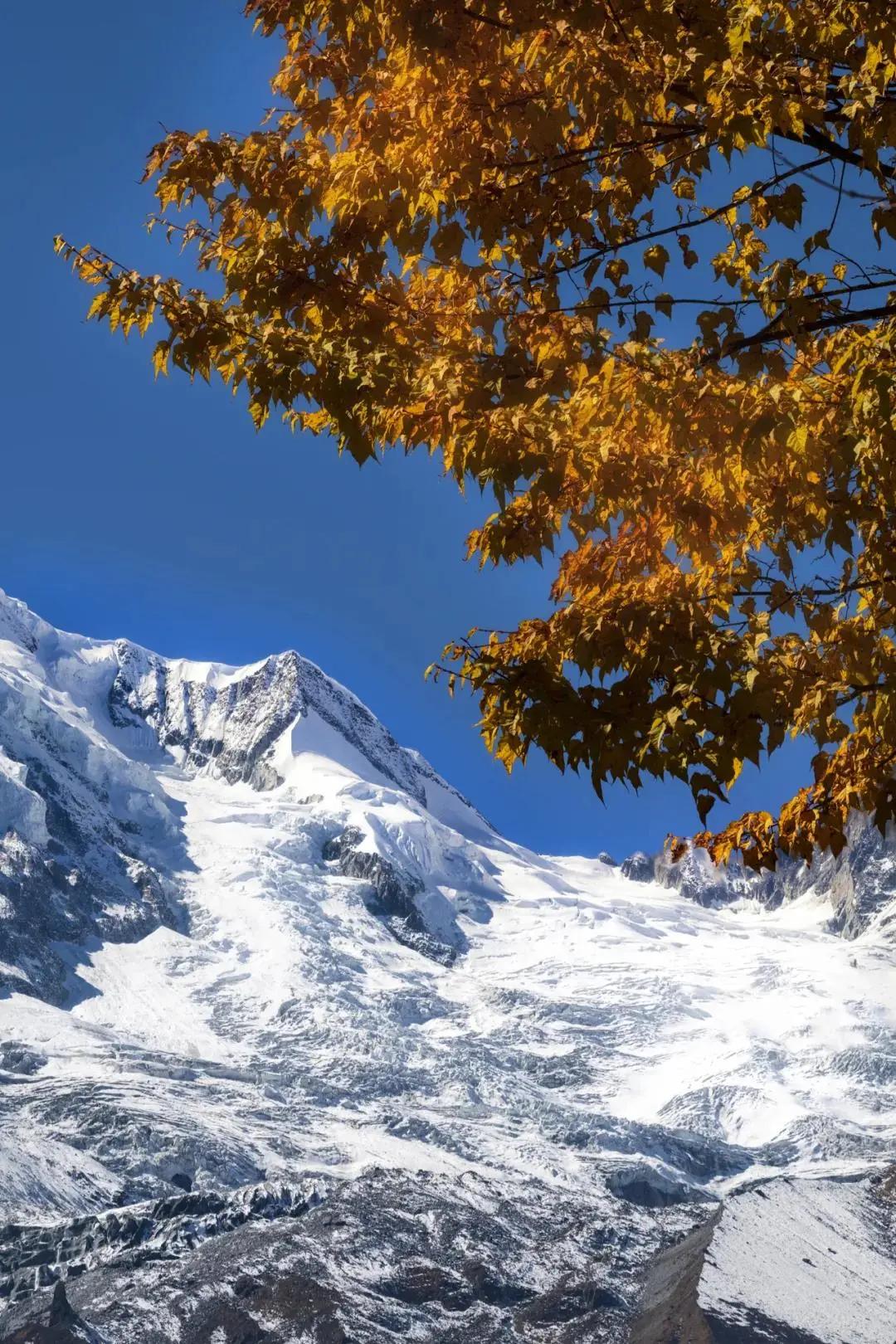 终于攒够了年假,年假怎么攒