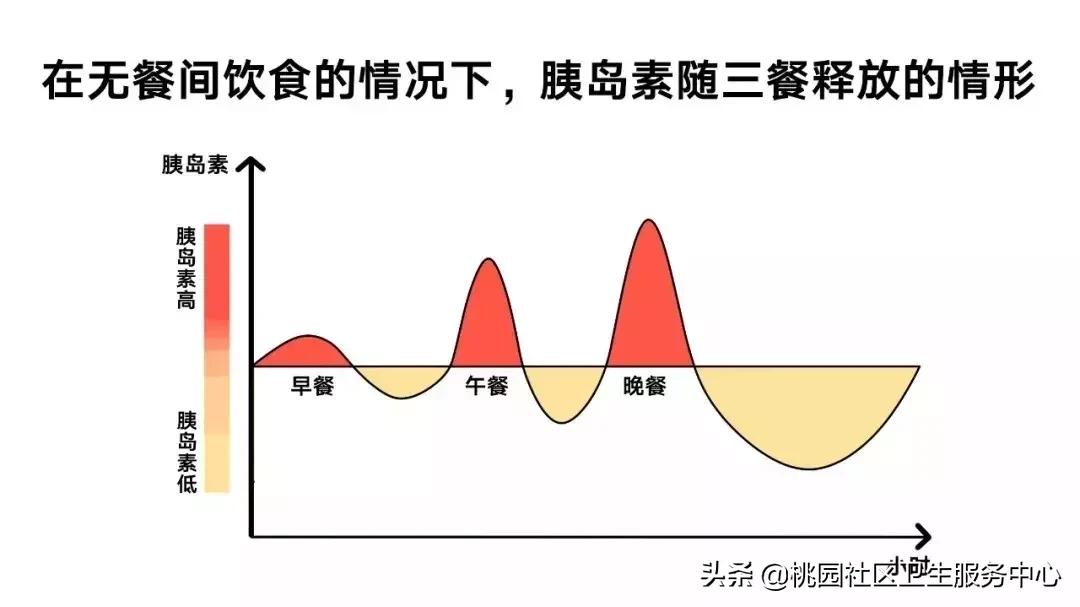 甜蜜的杀手带您了解糖尿病,逆转糖尿病科学饮食法